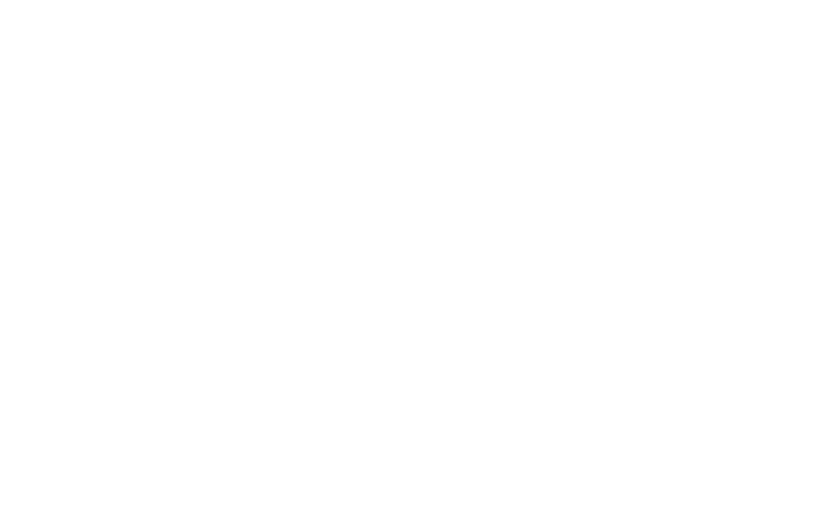 PPSS