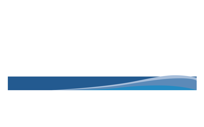 Vessel Arrest Systems