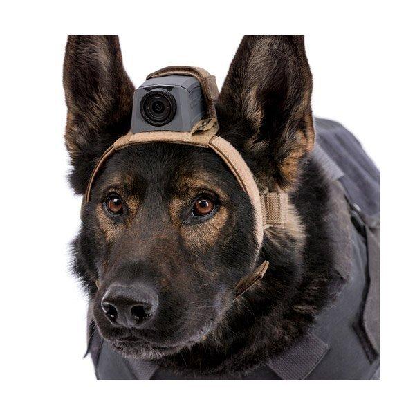 K9 MOHOC® Harness