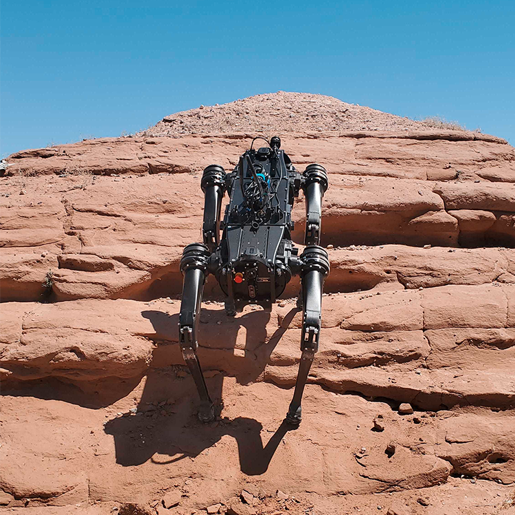 Vision 60 Q-UGV Quadruped Ground Robot