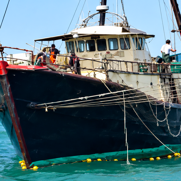 Illegal Vessel Arresting System